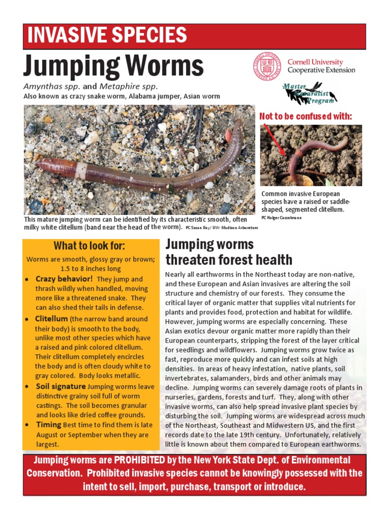 Jumping Worms Fact Sheet PDF Invasive Species Introduced Species