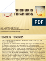 Trichuris trichiura: Síntomas, diagnóstico y tratamiento de la tricocefalosis