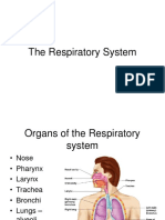CH 13 - Respiratory System