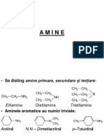 10.-Aminele..pdf