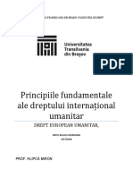 Principiile Fundamentale Ale Dreptului Internațional Umanitar
