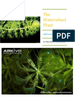 conservation and biology of Waterwheel Plant.docx