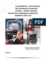 ghid-deschidere-service-auto.pdf