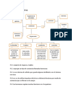 Sistema Endocrino Jeronimo Valencia 8D