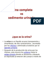 Orina Completa Vs Sedimento Urinario