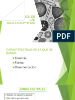 Clasificación y características de las Bacillariophytas