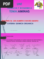 Tema 13 Qo Aminas
