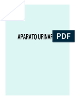Anatomia-Urinario.pdf