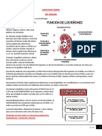 2.-FISIOLOGIA RENAL DR SEGURA.pdf