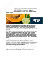 Propiedades Medicinales Papaya