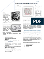 9. DR. ZAINS NEFRITICO Y NEFROTICOx.pdf