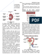 2º tema de nefrologia dr segura FISIOLOGIA RENAL.docx