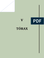 TORAX - Dres. R. Cavo Frigerio y A. Vidal.pdf