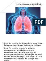 Pulmones Odp