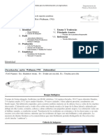 FAO Fisheries & Aquaculture - Programa de Información de Especies Acuáticas - Oncorhynchus Mykiss (Walbaum, 1792)