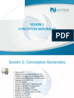 Material_SAP_BASIS-teoria.pdf