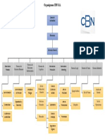 Organigrama Cerveceria Nacional de Bolivia