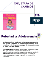 Pubertad Completo