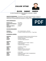 Curriculum Vitae Elvis