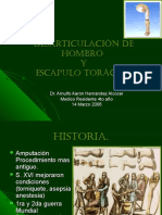 Desarticulaciondehombroyescapulotoracica 141003111644 Phpapp01 PDF