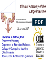 Clinical Anatomy of The Large Intestine
