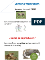 Los Animales Vertebrados Raul