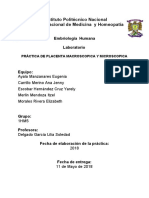 Placenta PDF