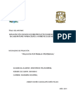 Informe Indicadores de Productividad Mediante SAP PDF