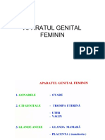 Aparatul Genital Feminin 2018