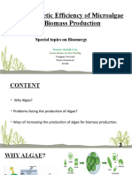 Photosyntheis Efficiency For Microalgae Production