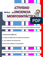 Colaboracion166 Conciencia Morfosintactica