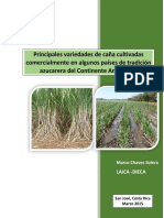 Variedades de caña de azúcar cultivadas comercialmente en la región_1103145713.pdf