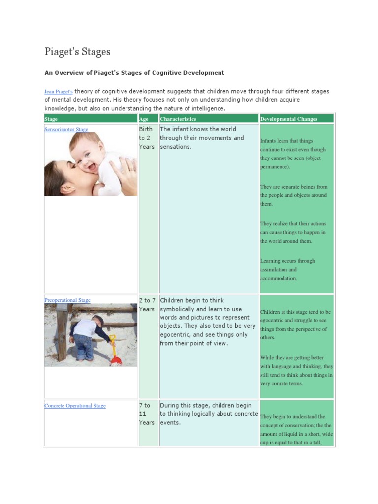 Piaget | PDF | Cognitive Development | Schema (Psychology)