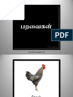 Birds PDF