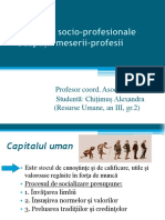 Power Point Sociologia Profesiilor