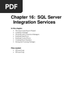 Download SSIS 2008 Tutorial by Sel Sun SN38203316 doc pdf