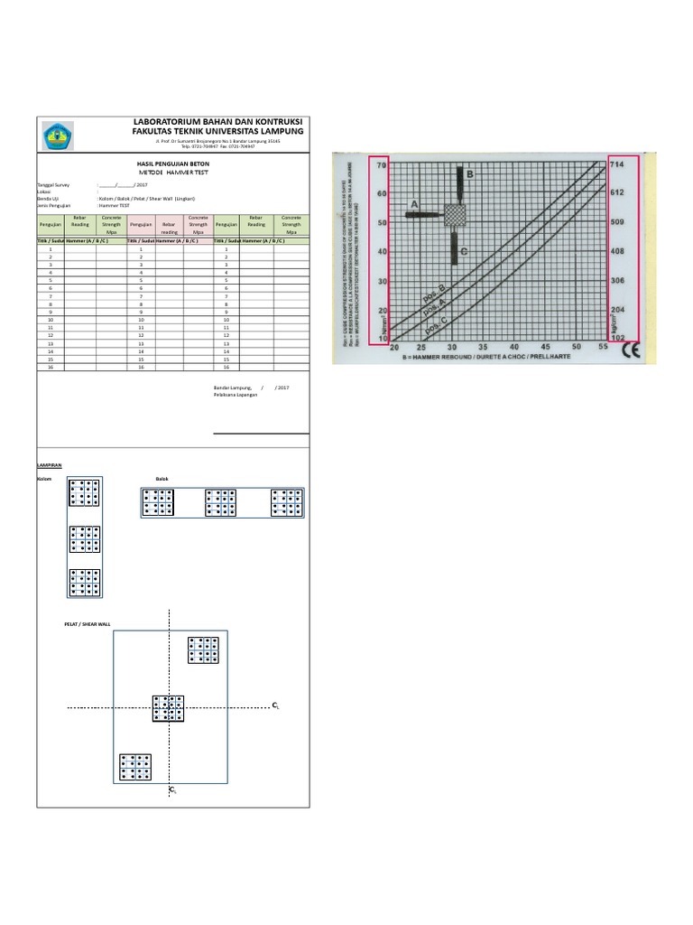 Form Hammer Test PDF