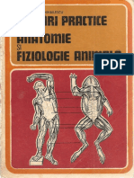 152058591 Lucrari Practice de Anatomie Si Fiziologie Animala M Stoica I Mihailescu Ed Didac Si Pedag 1981