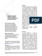 Dialnet-NeuropsicologiaDeLobulosFrontalesFuncionesEjecutiv-3987468.pdf