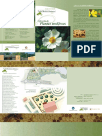 Plantas melíferas.pdf