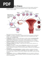 Resumo de Embrio Normal