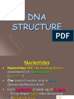 DNA Structure Notes