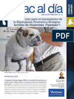prostata perro.pdf