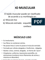 Sistema Muscular 