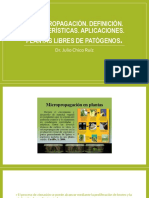 Clase 6 Micropropagación