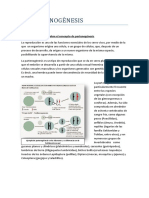 294869540-Partenogenesis.pdf