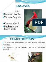 Presentación de Las Aves