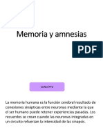 Amnesia y Memoria