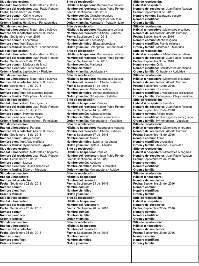 Etiquetas Insectos | PDF | Apidae | Insectos y humanos