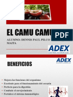 Camu Camu, PPT Adex